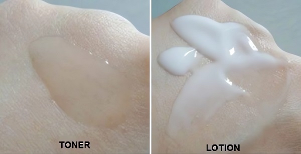 Kết cấu toner và lotion