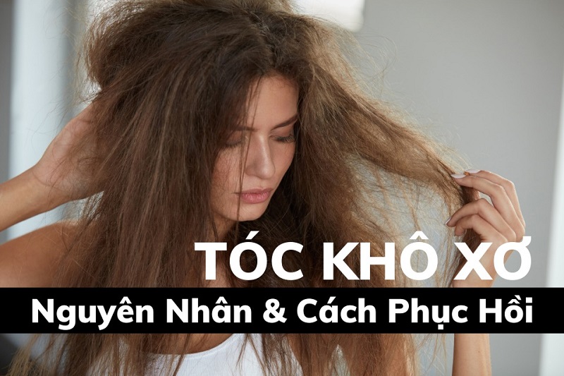 Có nhiều nguyên nhân khiến tóc khô xơ